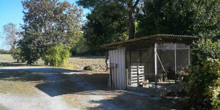 Casa singola con terreno