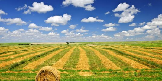 L’ACQUISTO DI TERRENO AGRICOLO